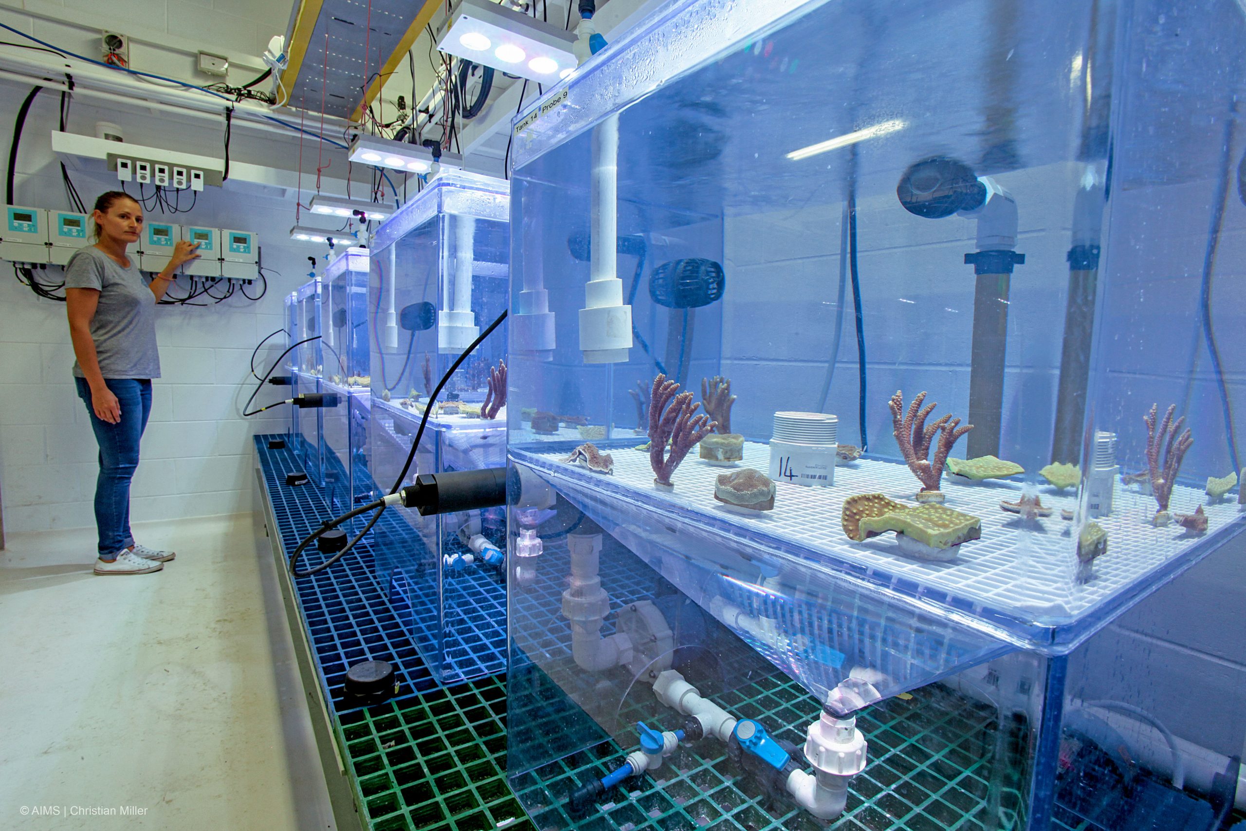 Great Barrier Reef Research